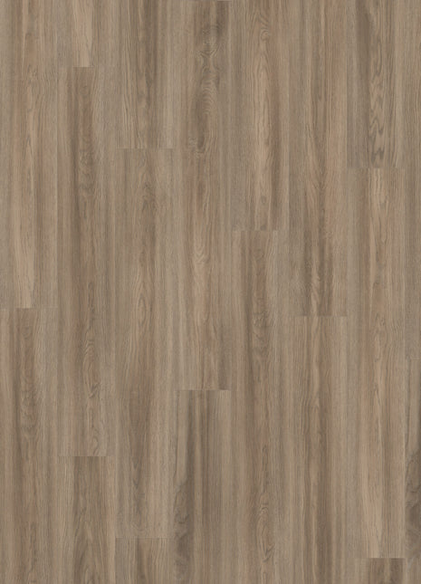 Grey Soria Oak Aqua 8mm AC4