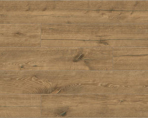 Collection image for: SPC