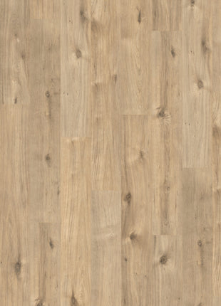 Achensee Oak Aqua 7mm AC3